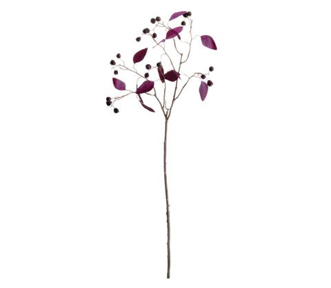 Eucalyptus Berry Branch 35.5"