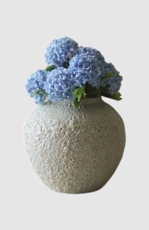 Blue Mini Snowball Hydrangea
