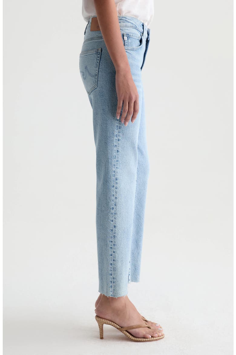 Brinley Raw Hem Mid Rise Ankle Straight Leg Jeans, Alternate, color, GOLD COUNTRY