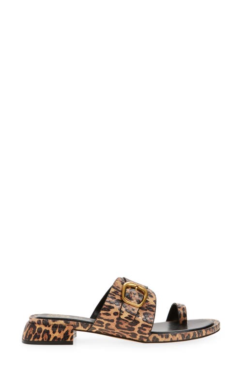 Vince Camuto Ranista Slide Sandal In Animal Print