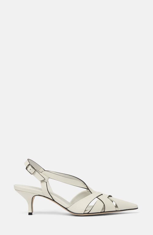 Shop Scarosso Clio Pumps