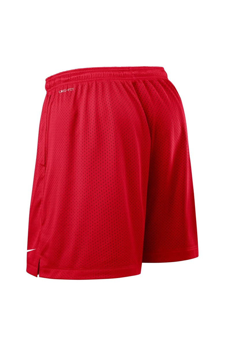 Nike Men's Nike Scarlet/Gray Ohio State Buckeyes 2025 Sideline Reversible Performance Shorts, Alternate, color, Scarlet