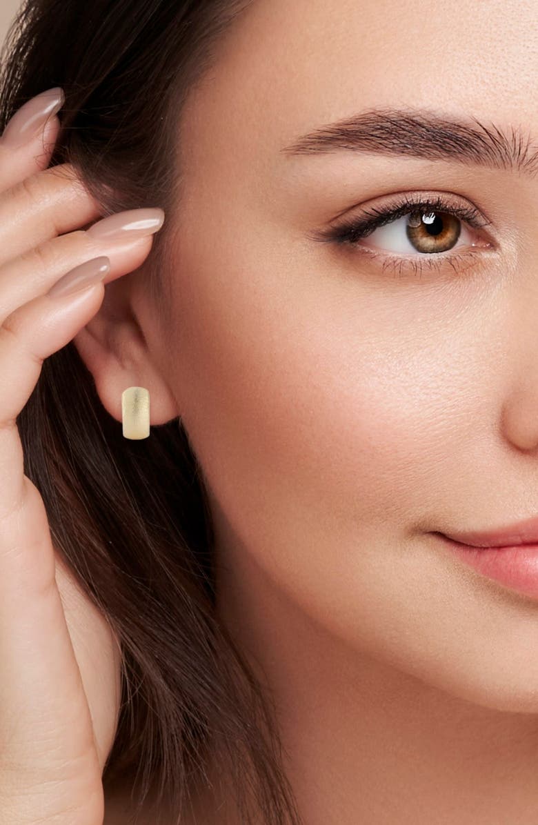 Ember Fine Jewelry 14K Gold Satin Hoop Earrings, Alternate, color, Gold