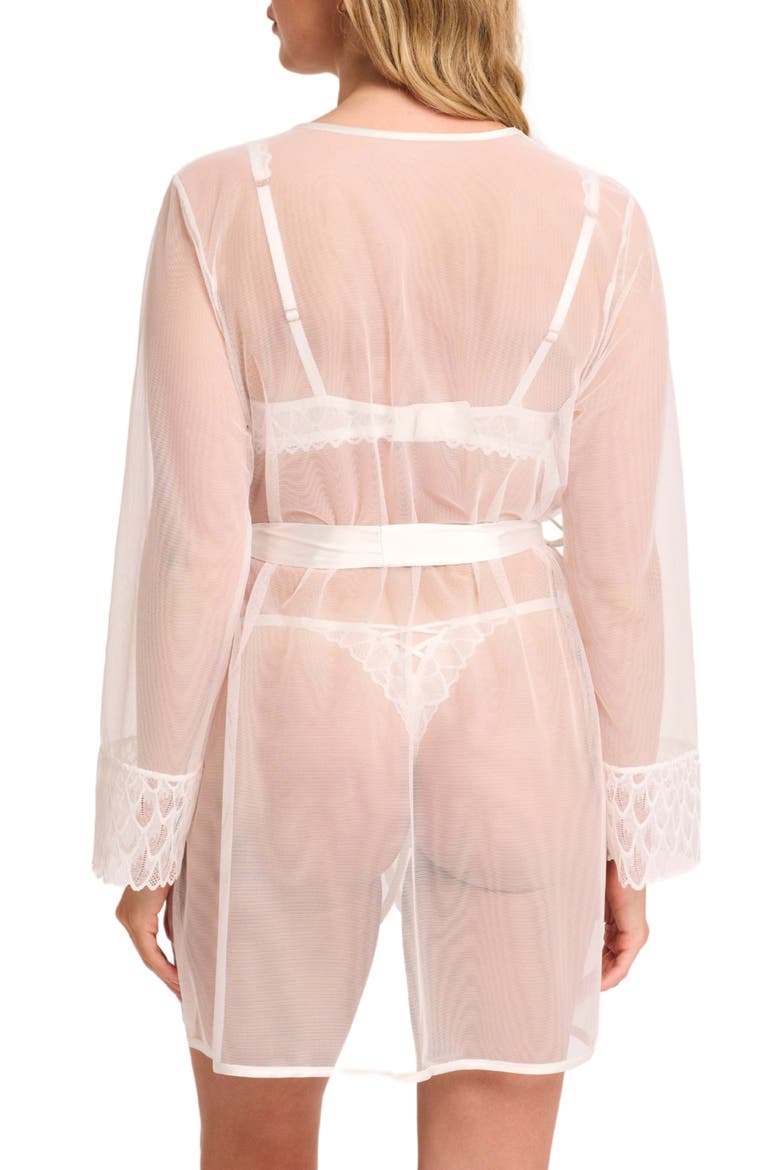 Lacy Lace Trim Mesh Robe, Alternate, color, CHANTILLY