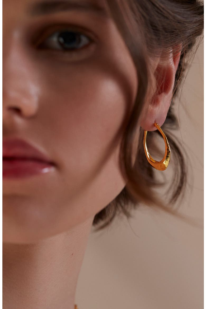 Deia Hoop Earrings, Alternate, color, 18CT GOLD VERMEIL ON STERLING