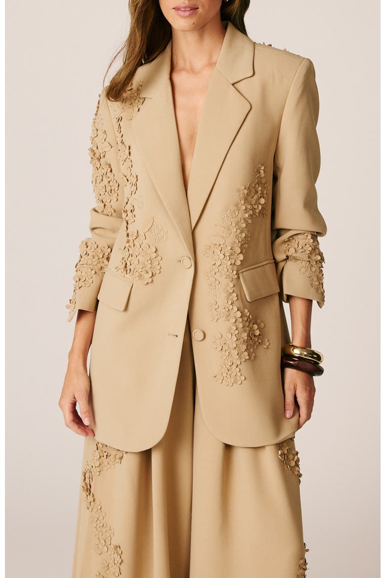 Embroidered Floral Blazer, Main, color, Beige