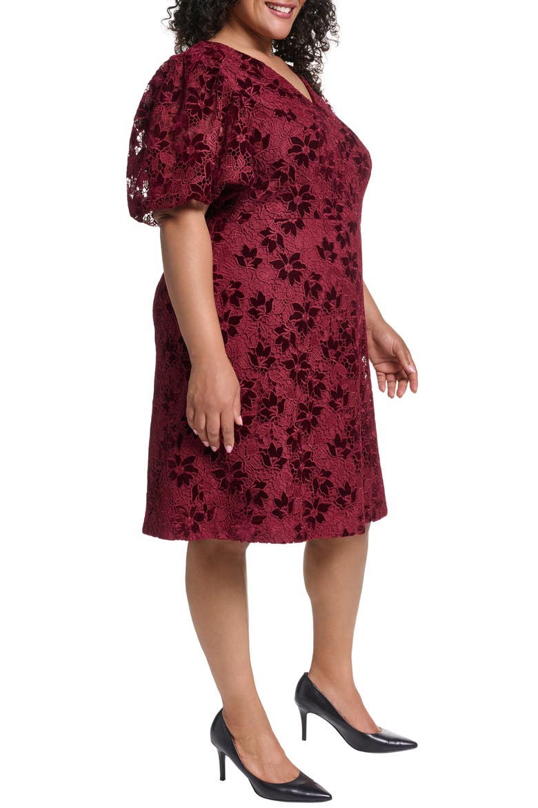 Lace & Velvet A-Line Dress, Alternate, color, WINE
