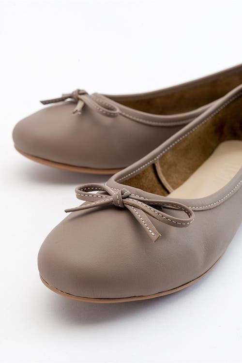 Forever & Always Shoes Florence Leather Ballerina Flats In Milk Brown Leather