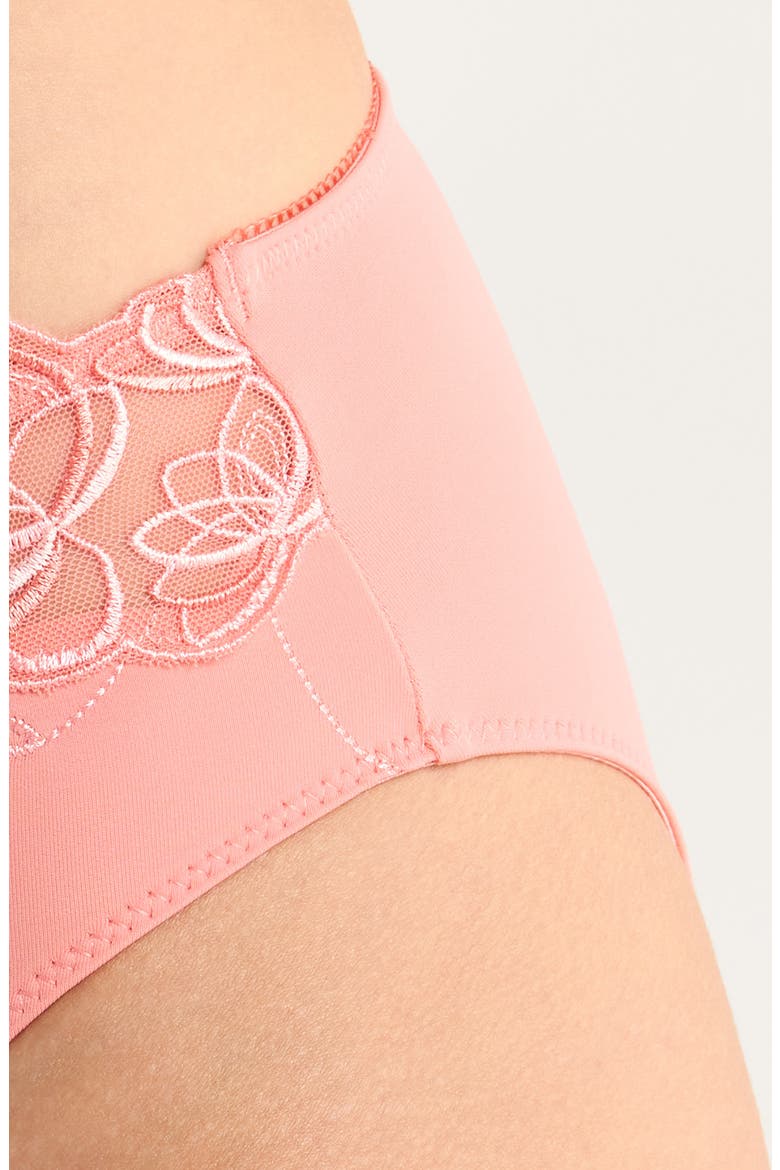 Diva Embroidered Mesh Panties, Alternate, color, LANTANA