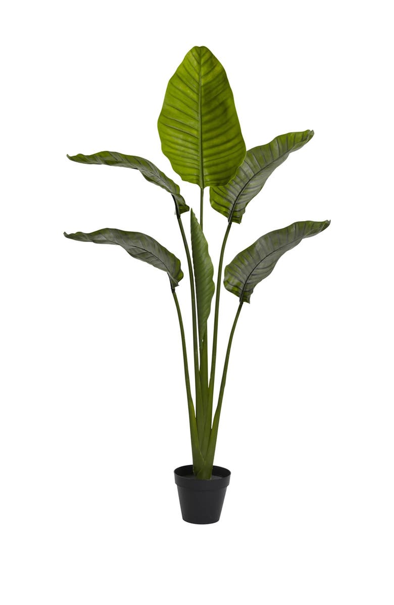 NEARLY NATURAL Green 63" Travelers Palm Tree UV Resistant, Main, color, 