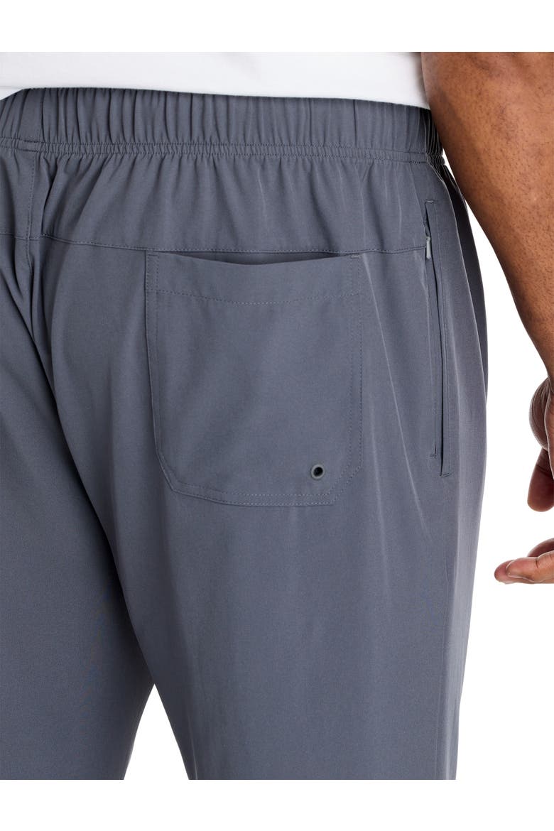 Big & Tall Versatility Pants V2, Alternate, color, GREY