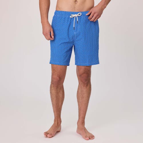Snapper Rock 4 Way Stretch Swim Short In Blue