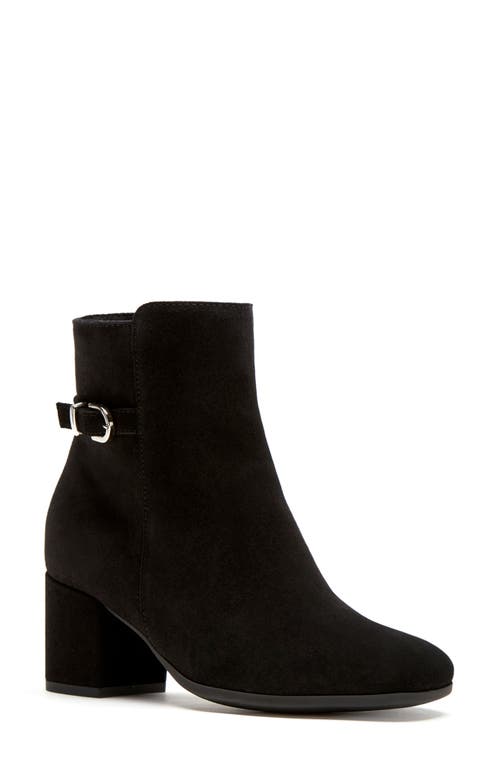 La Canadienne Jordanna Waterproof Block Heel Bootie in Black Suede 