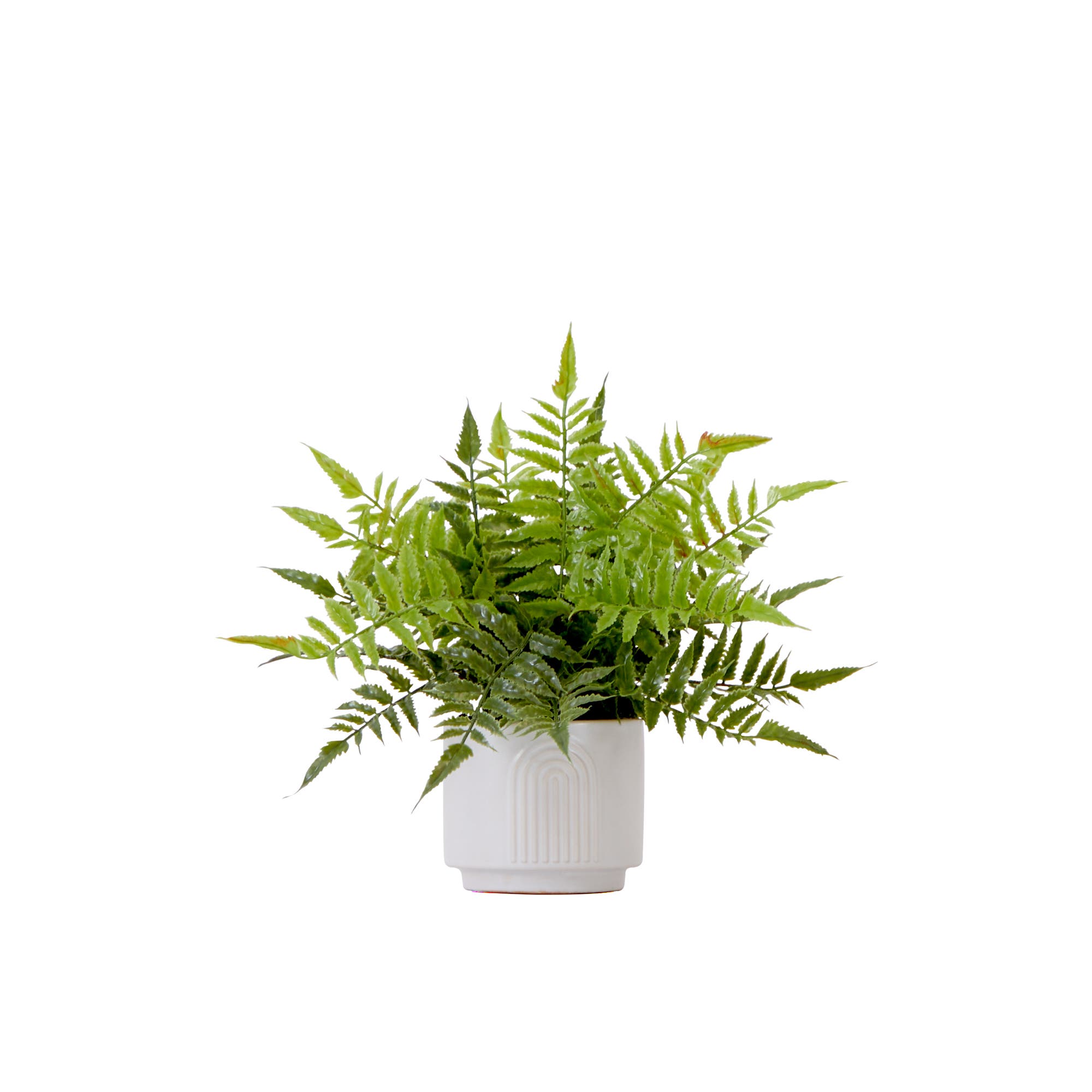 selected Green