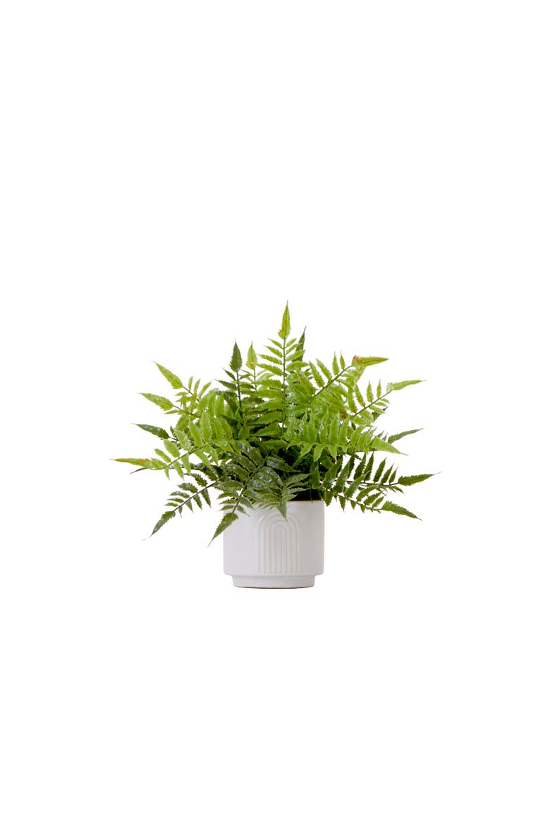 13-in Artificial Boston Fern Plant with Decorative Planter, Main, color, Green