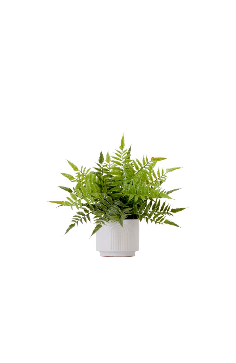 NEARLY NATURAL 13-in Artificial Boston Fern Plant with Decorative Planter, Main, color, Green