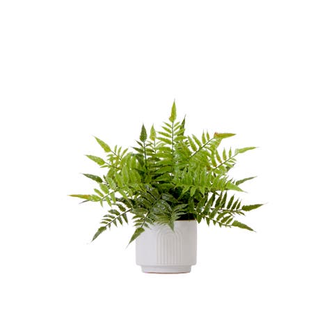 13-in Artificial Boston Fern Plant with Decorative Planter