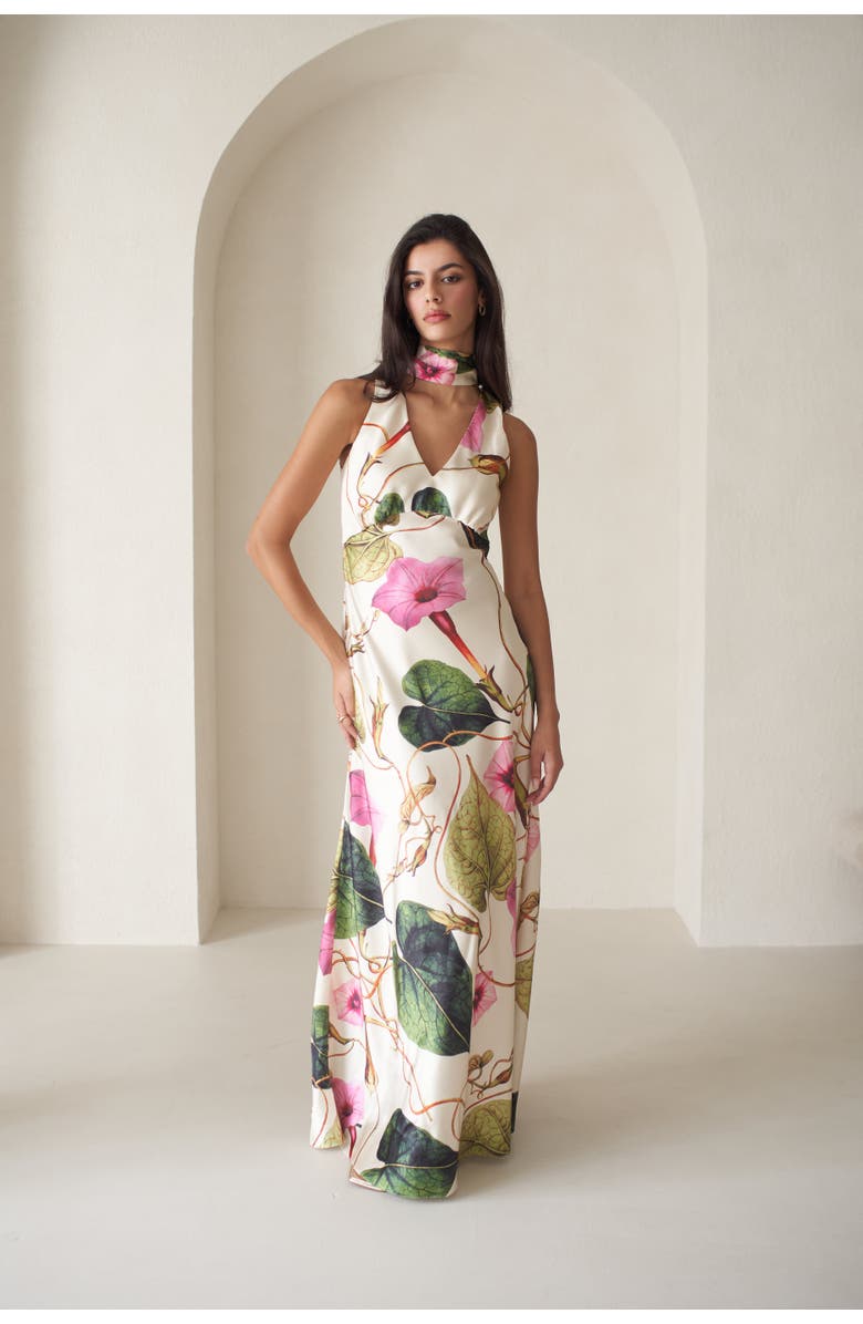 Vasiliki Catalina Silky Gown In Rafflesia, Alternate, color, Rafflesia Noir