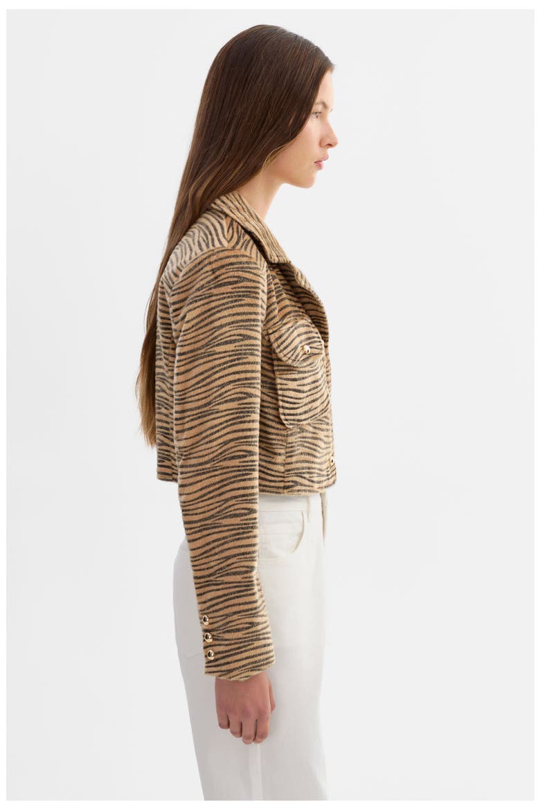 Jaylee | Tiger Print Cropped Jacket, Alternate, color, TGR