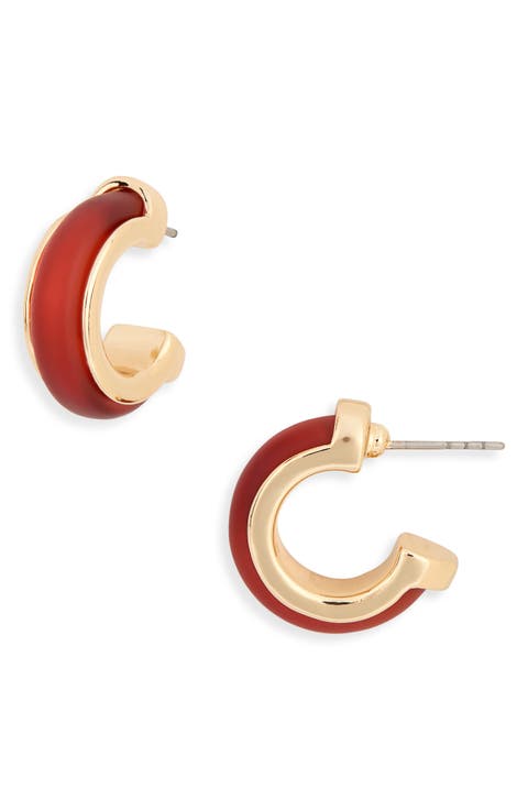 Frosted Resin Huggie Hoop Earrings