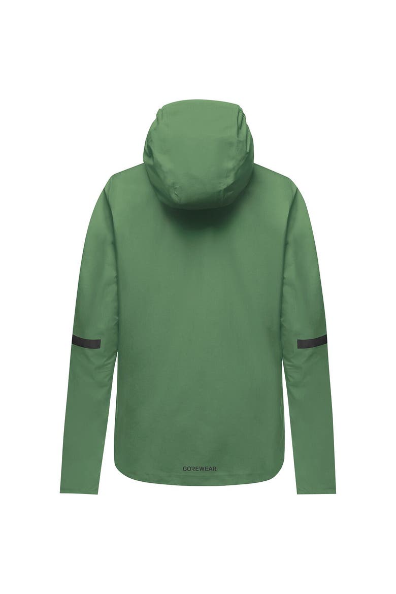 Lupra 2.0 Gore-Tex Hooded Jacket - Women's, Alternate, color, Engine Green