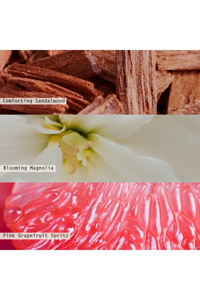 Beautifully Done Essentials Paloma Petal Aromatic Diffuser Refill, Alternate, color, Coral