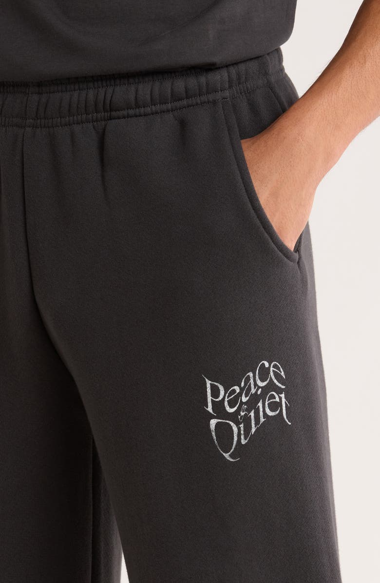 Museum of Peace & Quiet Warped Sweatpants, Alternate, color, Black