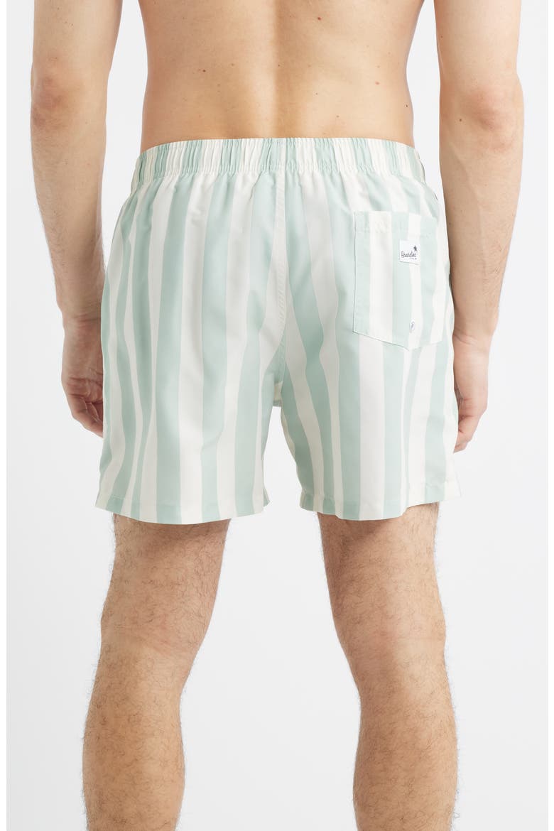 Stripe Swim Trunks, Alternate, color, GREEN/ CREAM