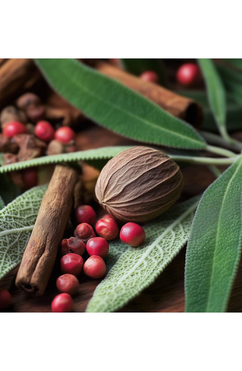 House of Sillage The Contemporary Parfum, Alternate, color, 