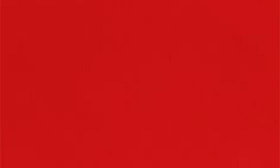 1 RED CAMELLIA