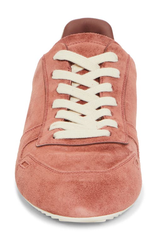 Rick Owens Minimal Low Top Sneaker In Pink