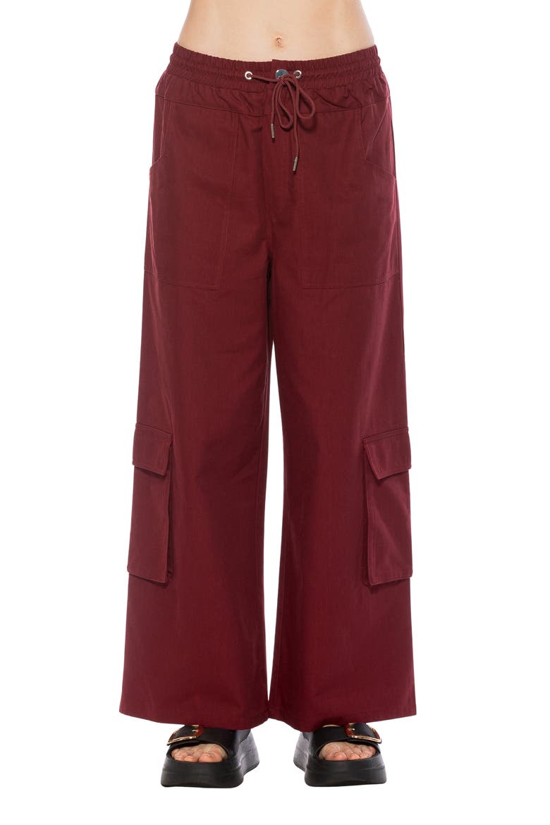 Evren Drawstring Waist Cargo Pants, Main, color, BURGUNDY
