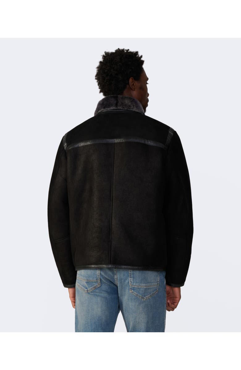 Furniq UK Hugh Shearling Jacket, Alternate, color, Black
