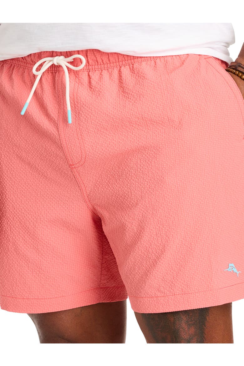 Big & Tall Naples Shore Swim Trunks, Alternate, color, TUTTI FRUTTI