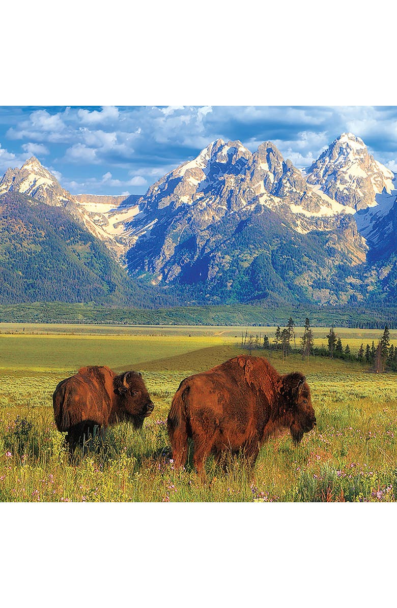 Eurographics Grand Teton National Park Puzzle, 1000 Pieces, Alternate, color, Multicolored
