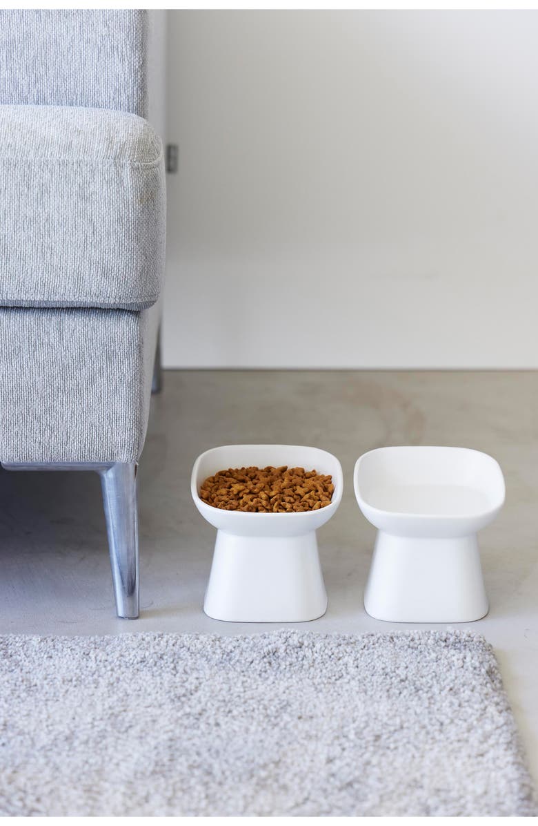 Yamazaki Tilted Pet Food Bowl, Alternate, color, White