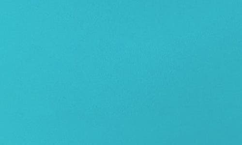 Andie The '90s High Waist Bikini Bottoms In Blue