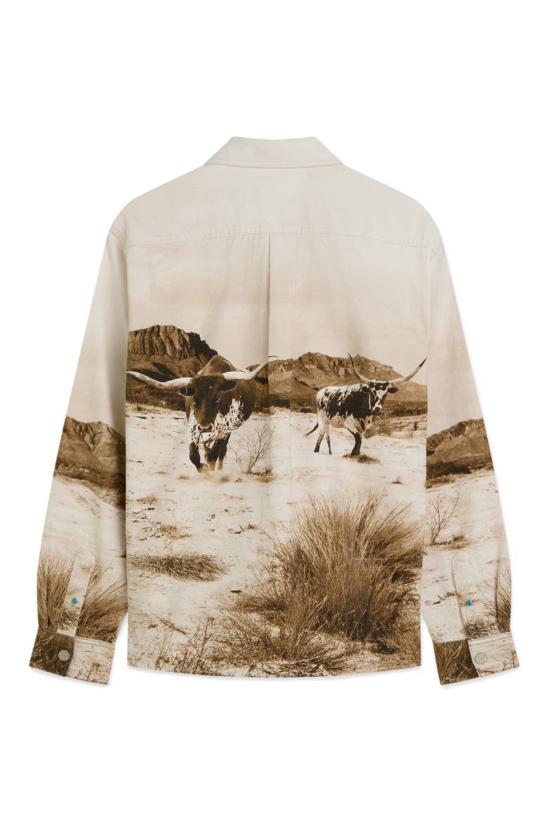 Scenery Button-Up Cotton Overshirt, Alternate, color, LONGHORN SEPIA
