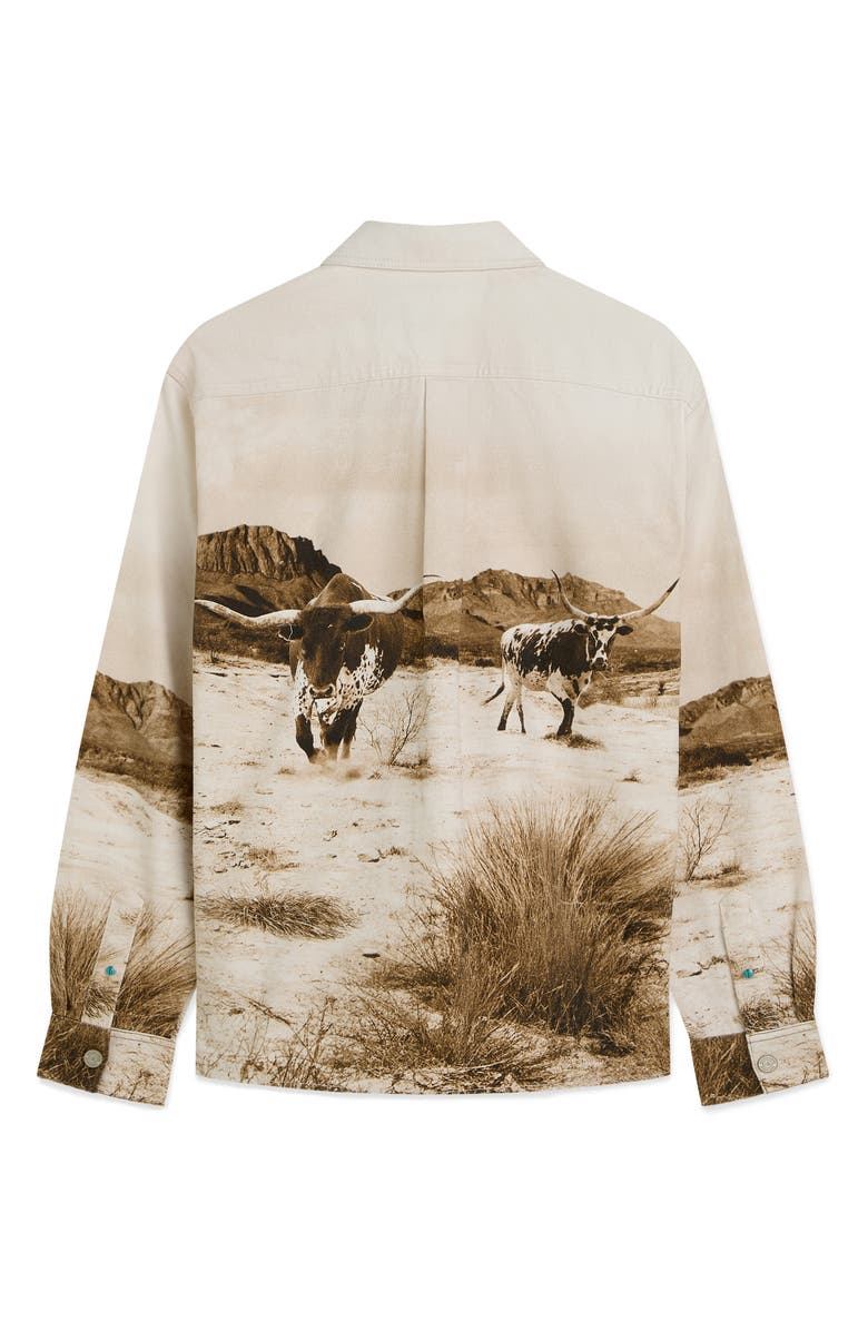 Scotch & Soda Scenery Button-Up Cotton Overshirt, Alternate, color, Longhorn Sepia