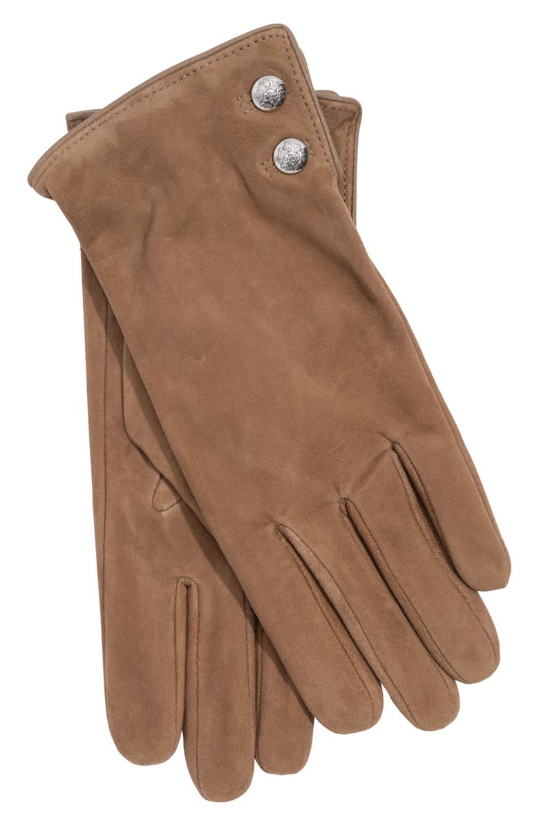 Lauren Ralph Lauren Crest Button Suede Gloves, Alternate, color, Taupe