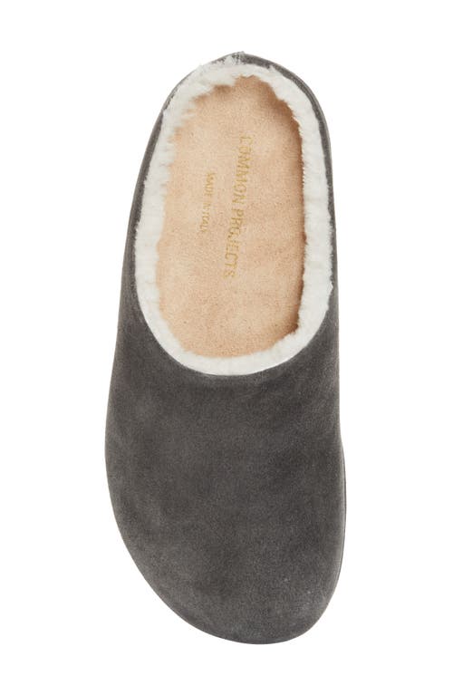 Common Projects Suede & Genuine Shearling Clog In Multi