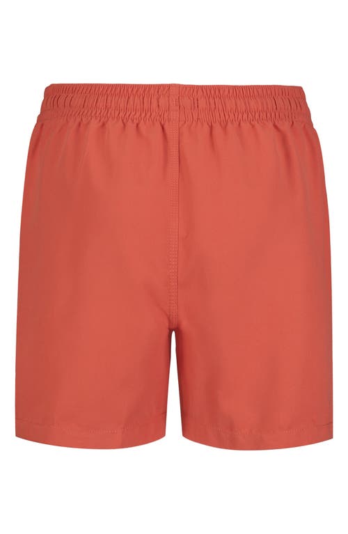 Billabong Kids' All Day Layback Swim Trunks