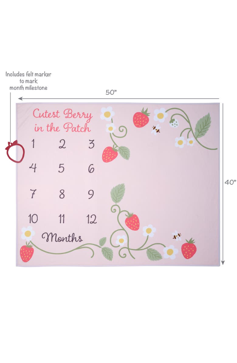Lambs & Ivy Strawberry Patch Milestone Photo Opportunity Fleece Baby Blanket, Alternate, color, Pink