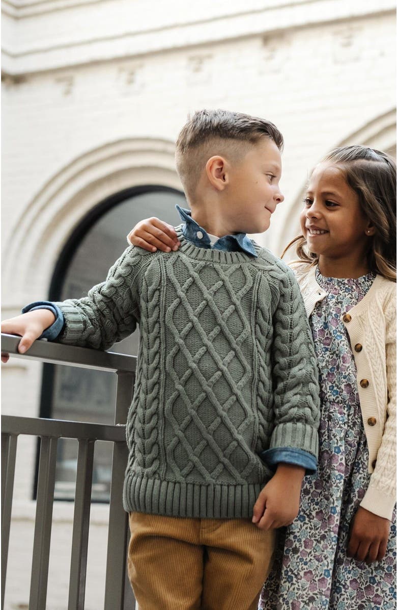 Hope & Henry Boys' Organic Raglan Fisherman Sweater, Kids, Alternate, color, 