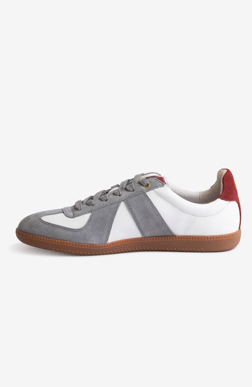 Freshy Indie Lites Sneaker In Multi