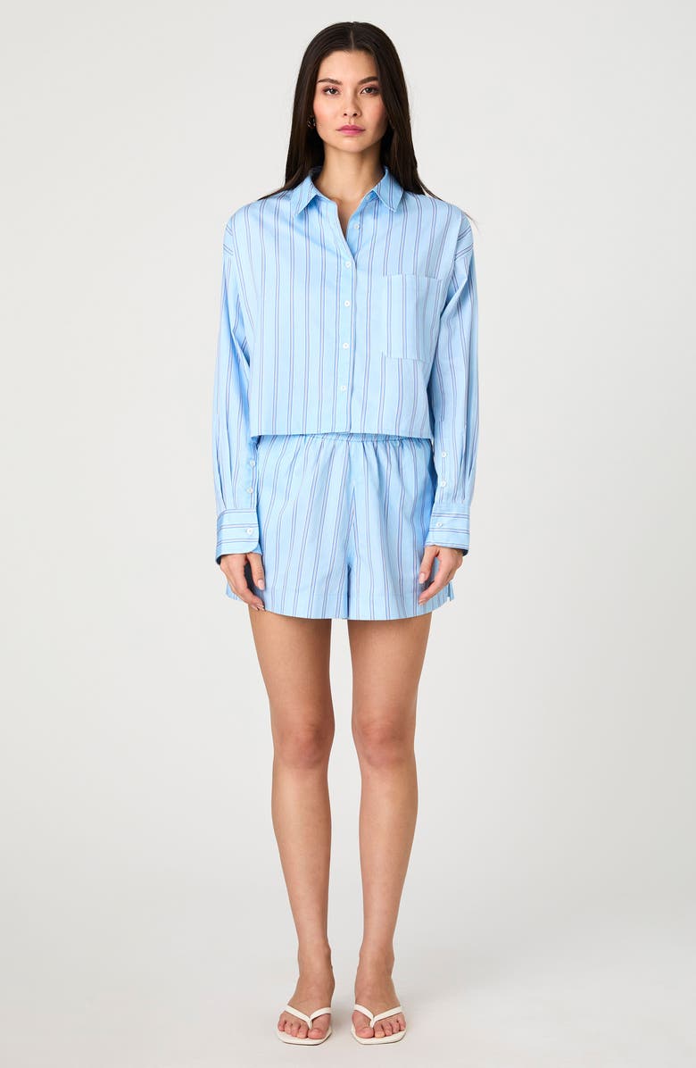 French Connection Lorenzo Stripe Cotton Shorts, Alternate, color, Blue Stripe Multi