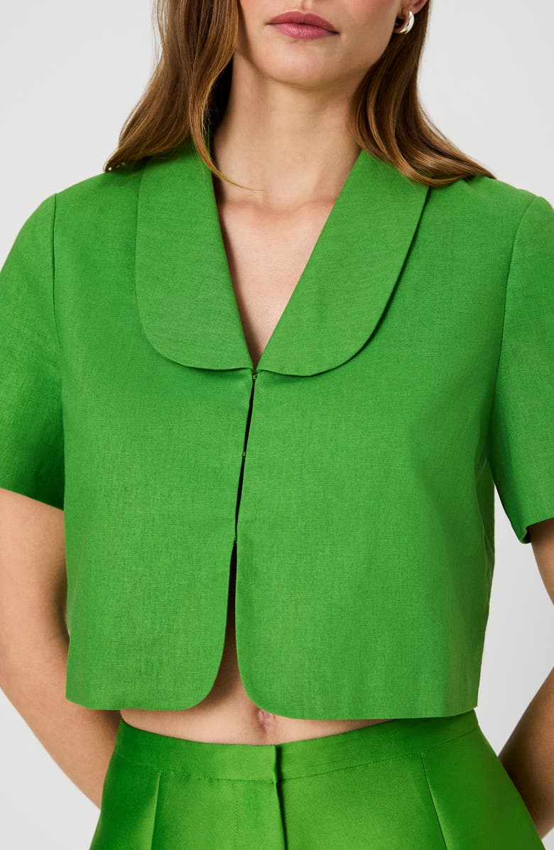 French Connection Theo Oversize Peter Pan Collar Crop Top, Alternate, color, Botanica Green