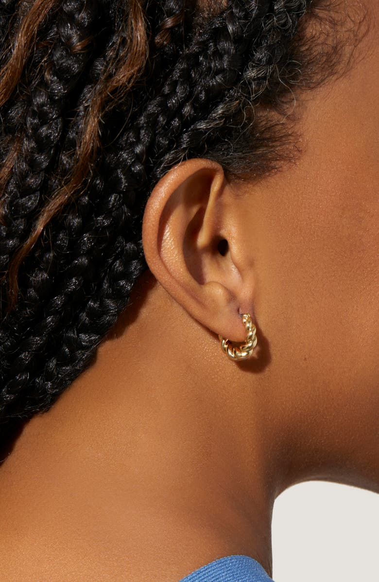 Ana Luisa Twisted Hoop Earrings - Paris Small, Alternate, color, Gold