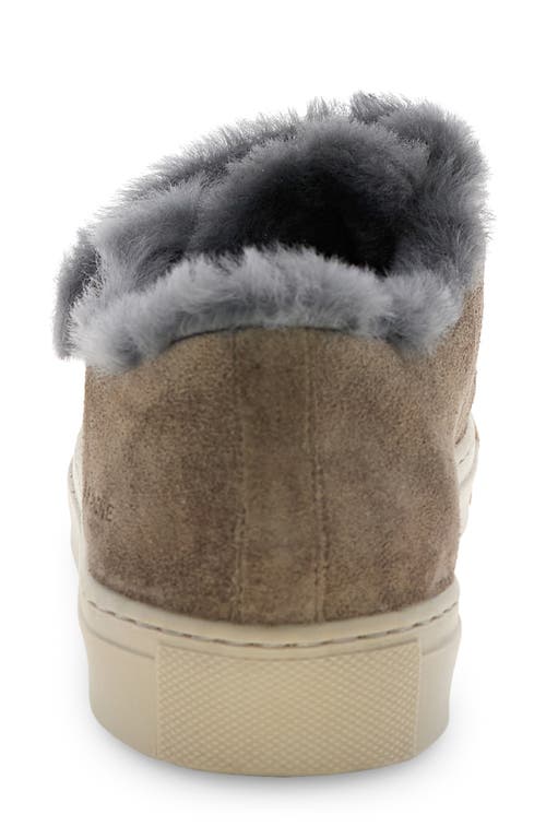 Voile Blanche Gretha Genuine Shearling Sneaker In Brown