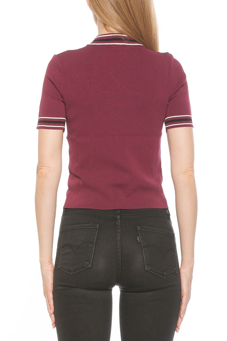 Phoebe Short Sleeve Turtle Neck Sweater, Alternate, color, BURGUNDY